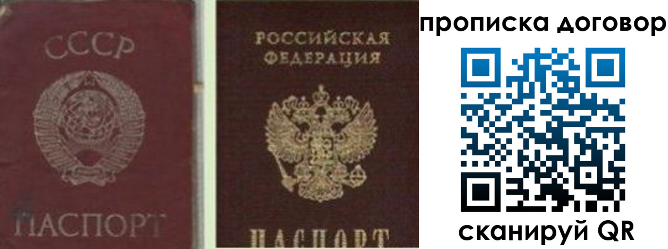 прописка гарантия в Ржеве
